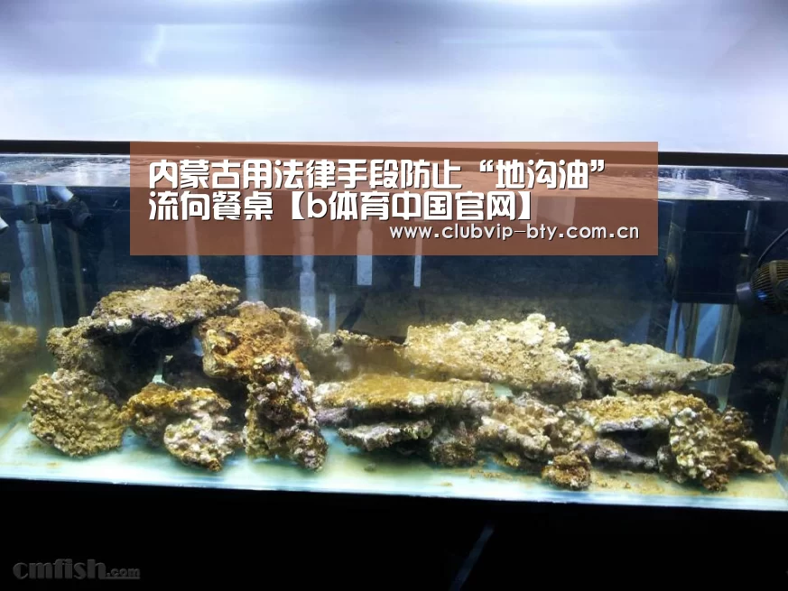 bsport体育官网入口